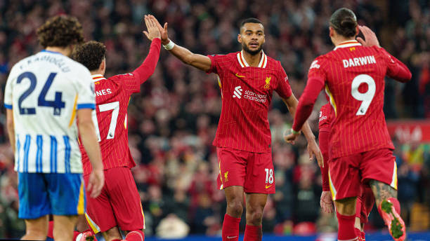 热鸟和贡多 热鸟和贡多